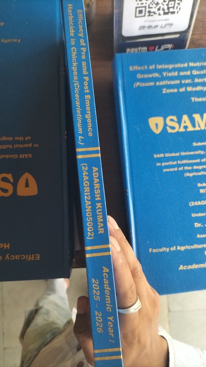 PHD